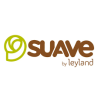 Suave